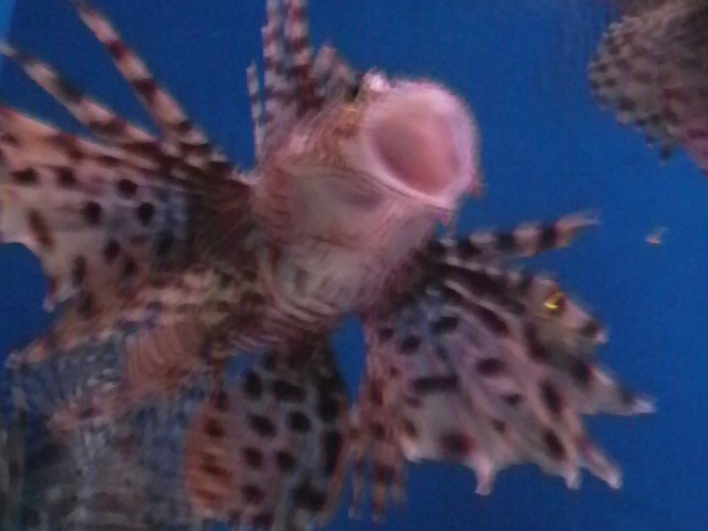 c0110906_18384032.jpg