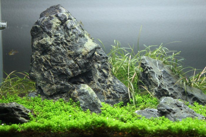 f0215410_234812100.jpg
