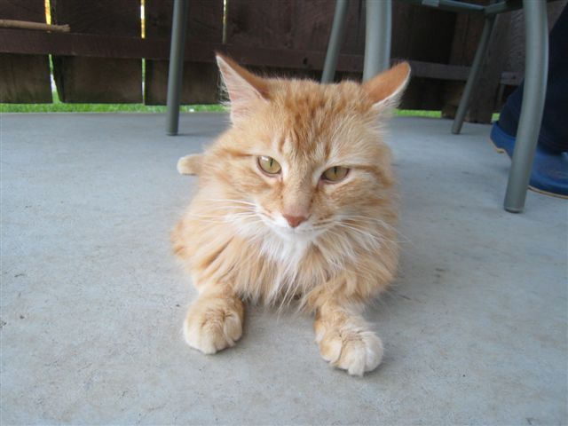 c0079011_00469.jpg