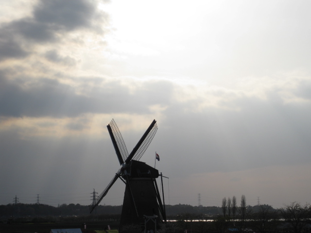 e0169612_1543663.jpg