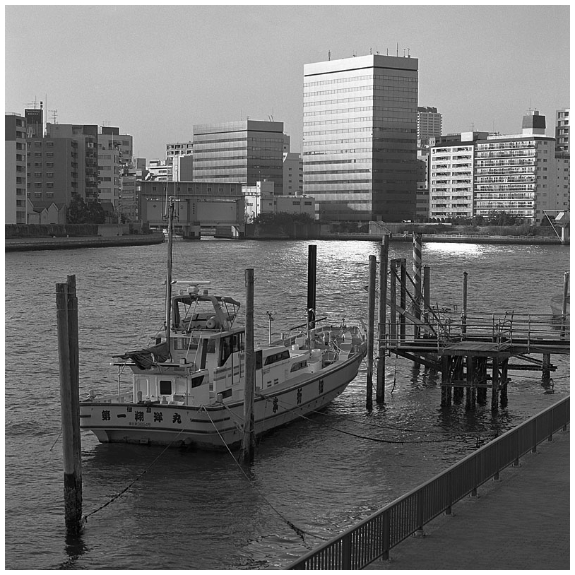 b0123216_833920.jpg