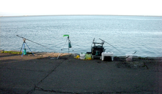 a0155319_8244772.jpg