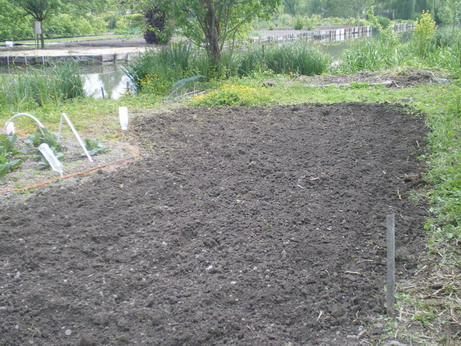 c0124619_5493150.jpg