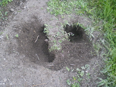 c0124619_553227.jpg