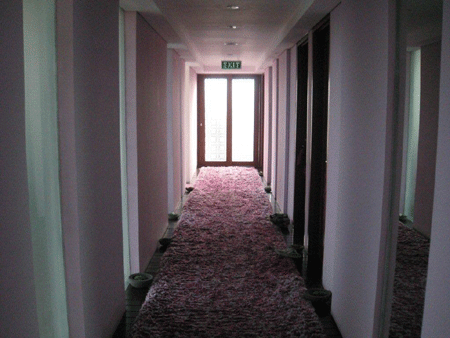 d0038319_1555979.gif
