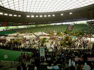 e0158919_2544334.jpg