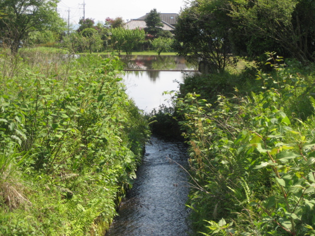 原点_b0093221_3351585.jpg