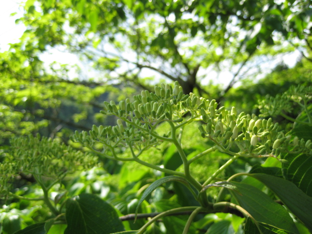 原点_b0093221_3402458.jpg