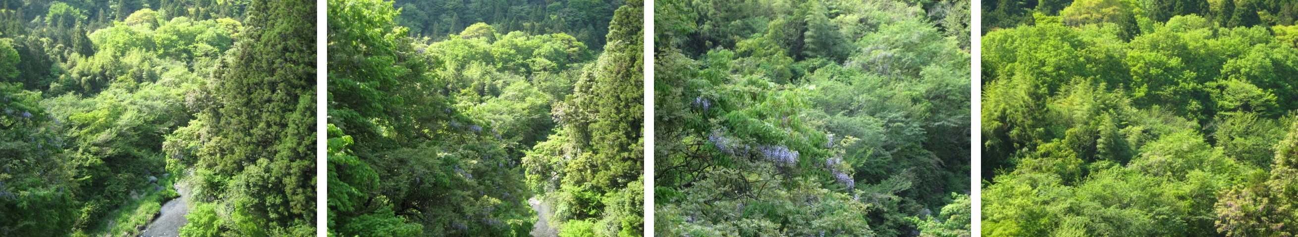原点_b0093221_348941.jpg