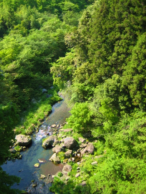原点_b0093221_3493847.jpg