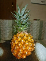 f0200221_21132511.jpg