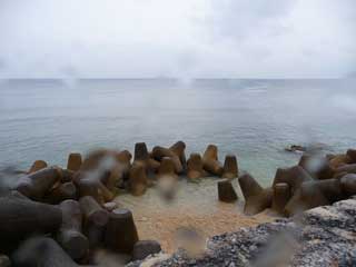 f0022222_064399.jpg