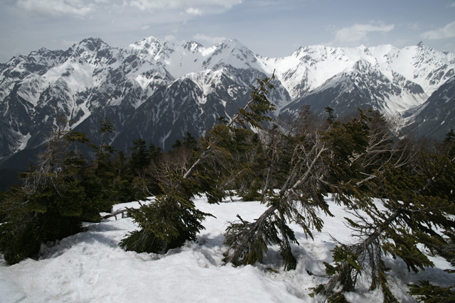 a0068424_1264450.jpg