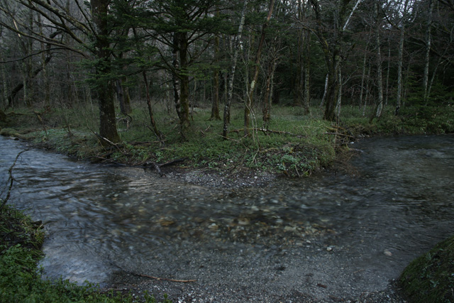 a0068424_2295017.jpg