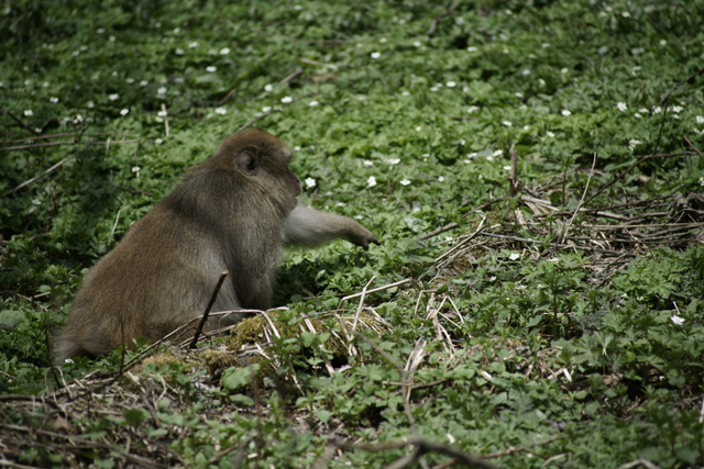 a0068424_234927100.jpg