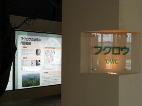 b0147224_1544438.jpg