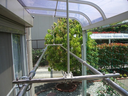 f0010925_13285575.jpg