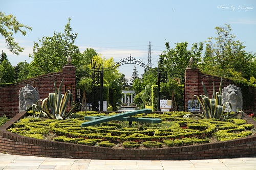 c0136926_23332455.jpg