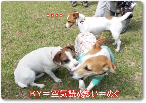 ＫＹ＝めぐ_a0130937_21492256.jpg