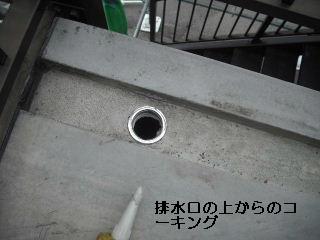 チェック・チェック・チェック!_f0031037_17492121.jpg