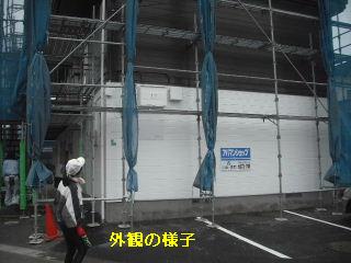 チェック・チェック・チェック!_f0031037_1804916.jpg