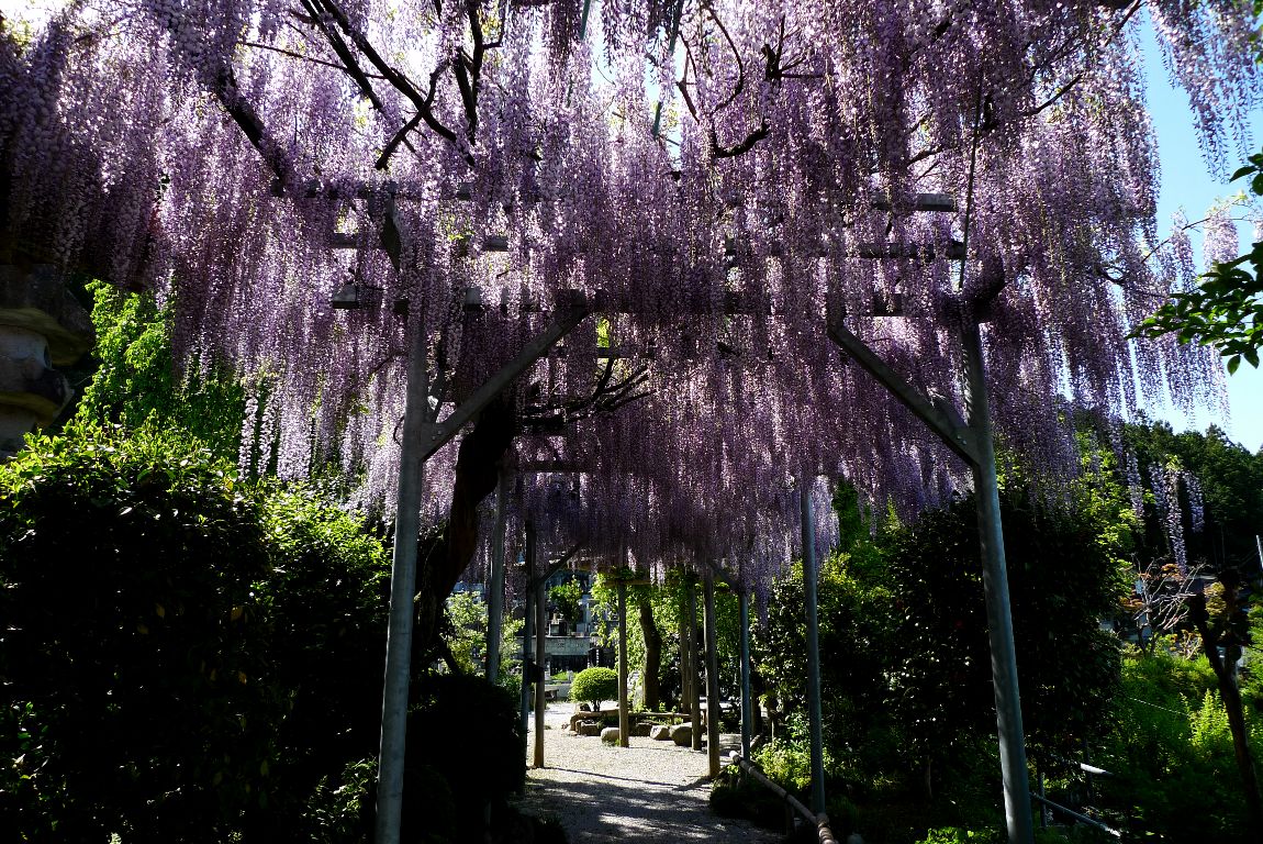 野坂寺　＃１_a0156838_22293189.jpg