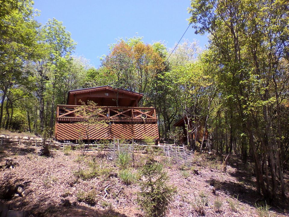 f0090444_2248253.jpg