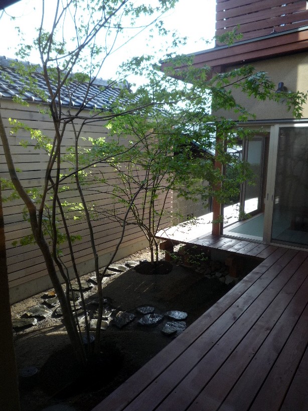 松本市　県の家　完工_c0112447_21565225.jpg