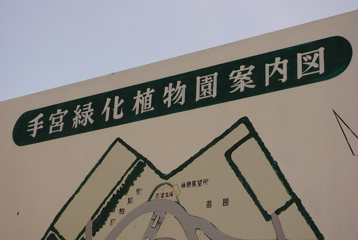 d0089157_535534.jpg