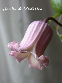 e0118257_1555641.jpg