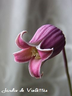 e0118257_1557536.jpg