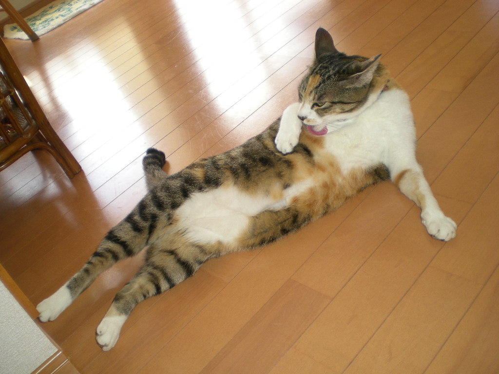 2010年5月15日(土)こころの朝、愛の午後!_f0060461_102981.jpg