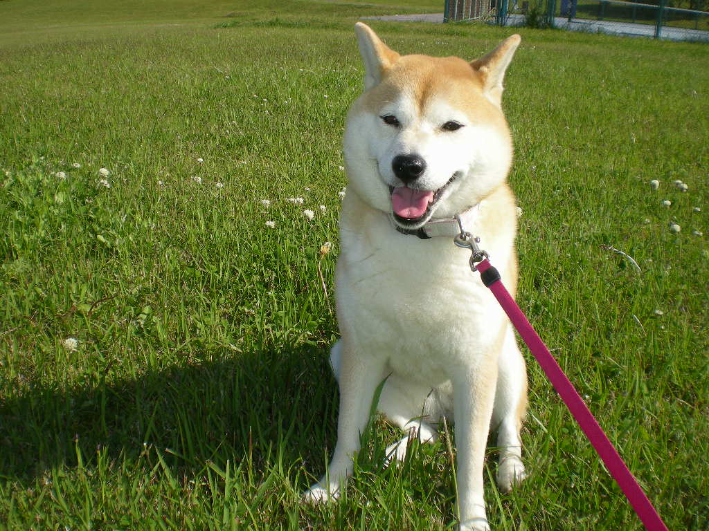 2010年5月15日(土)こころの朝、愛の午後!_f0060461_107850.jpg