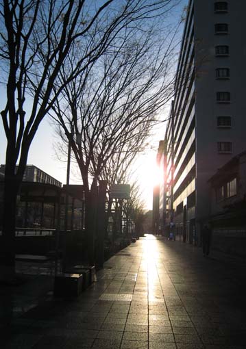 a0101473_2226321.jpg