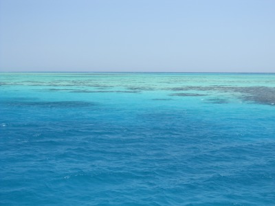 b0164382_1005820.jpg