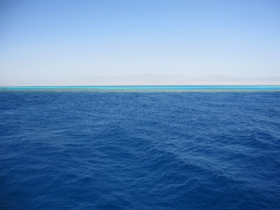 b0164382_1011856.jpg