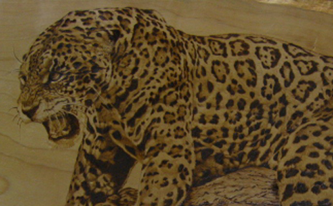e0140987_57827.jpg