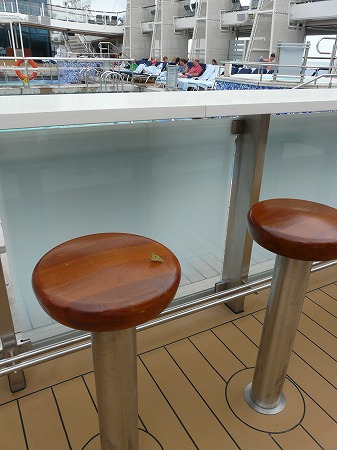 セレブリティ・ソルスティス 東カリブ海クルーズ 8日目-1 最終航海日_e0160595_16145077.jpg