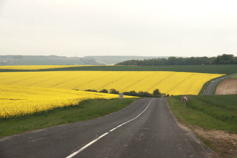 c0090198_2533078.jpg