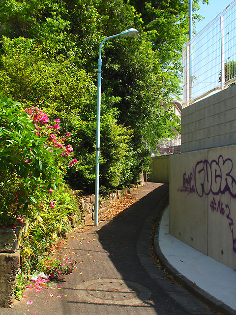 c0163001_21333044.jpg