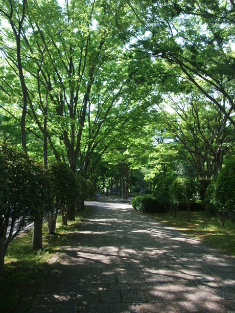 c0183801_196086.jpg