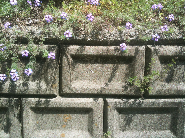 b0122802_17184354.jpg