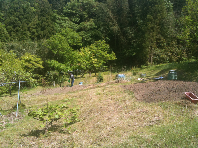 b0122802_17224356.jpg