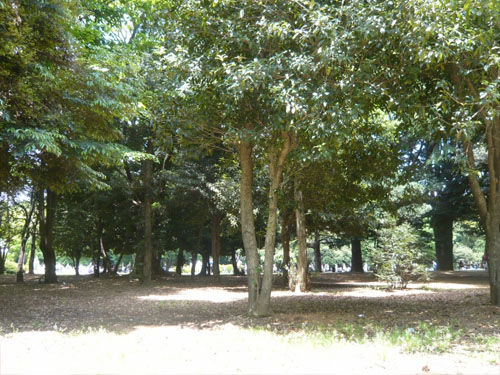 c0211002_014481.jpg