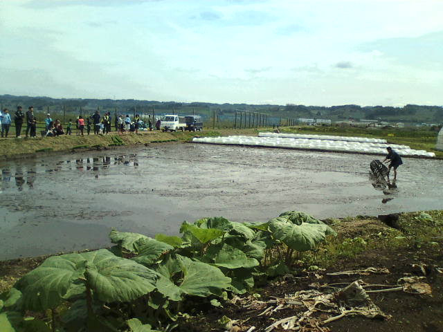 e0104702_18203763.jpg