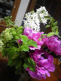 b0046204_20132124.jpg