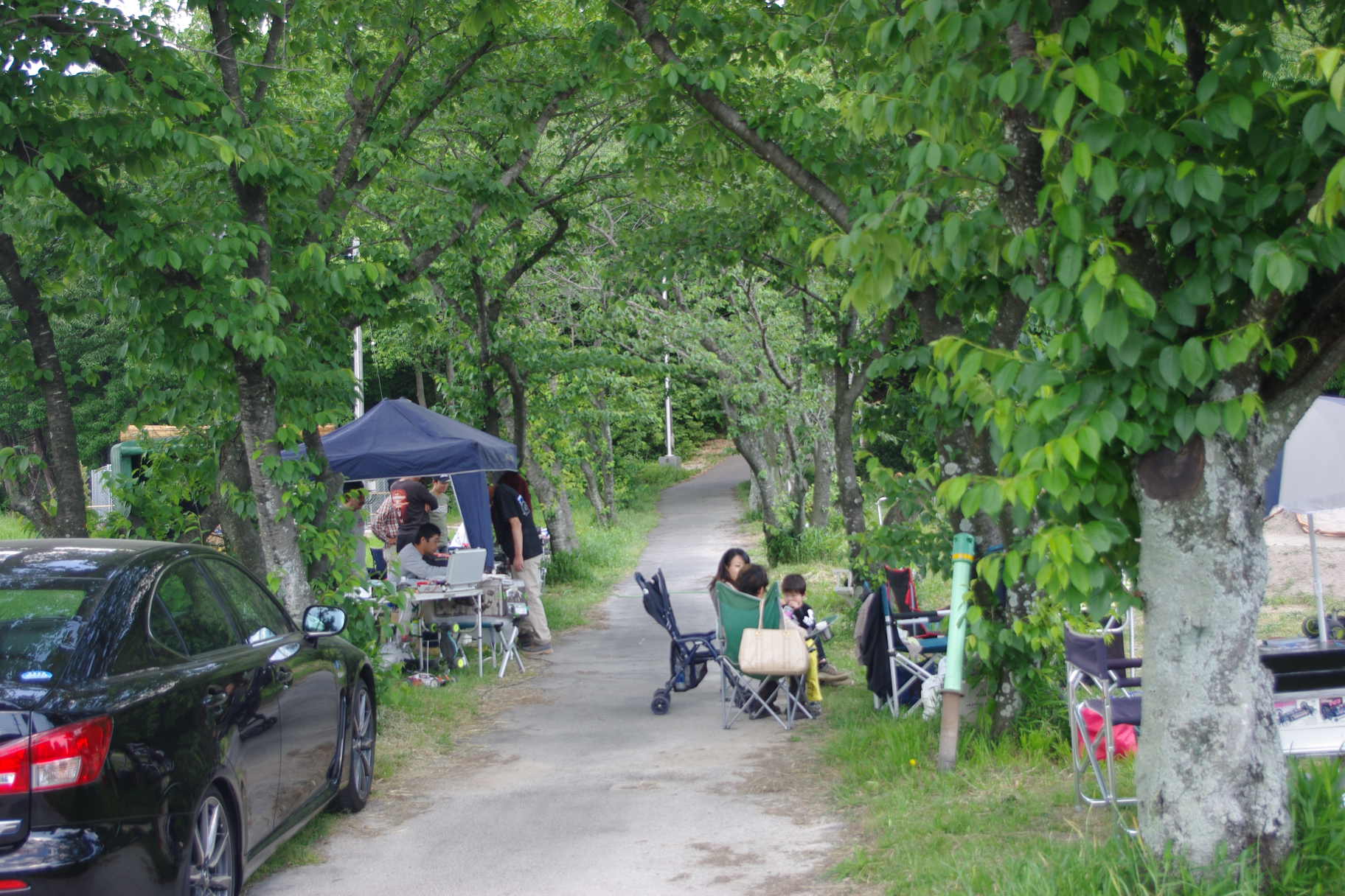 d0070007_17574490.jpg