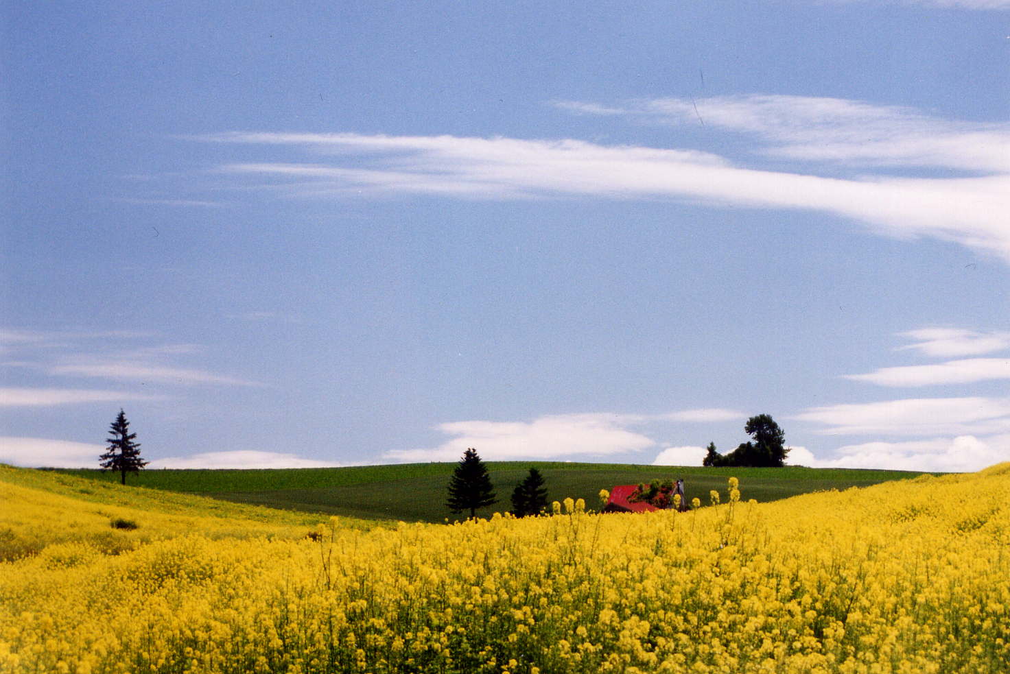 d0160307_1983486.jpg