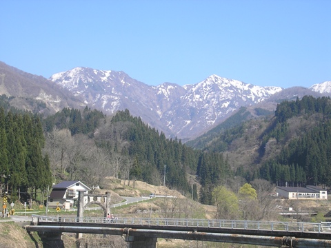 d0115409_11435253.jpg