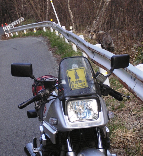 d0115409_11513762.jpg